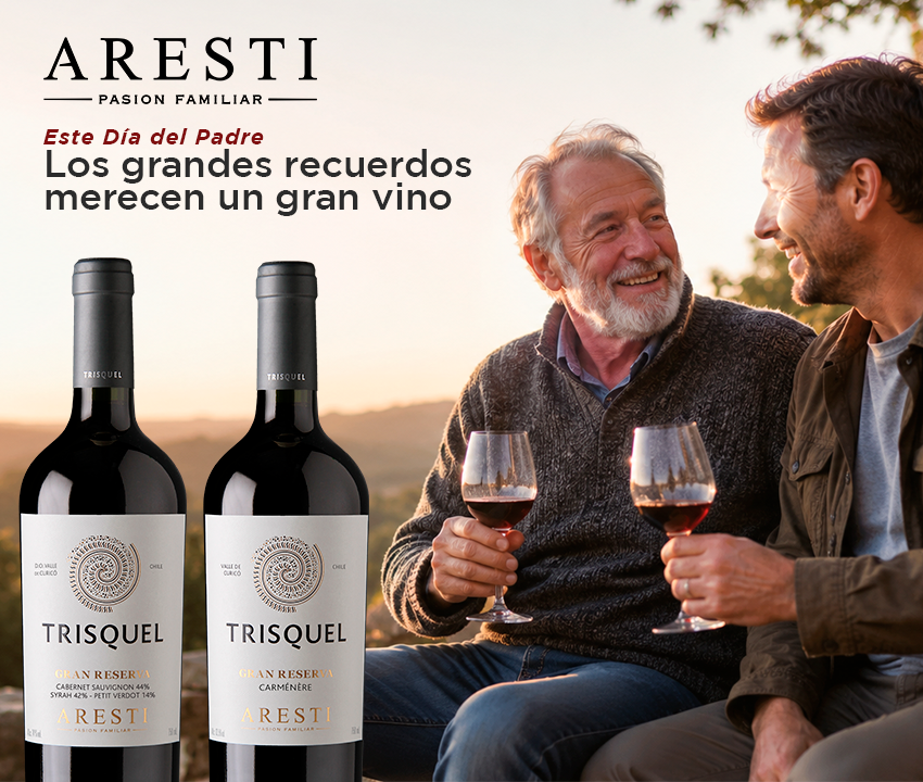Venta de vinos aresti al mejor precio